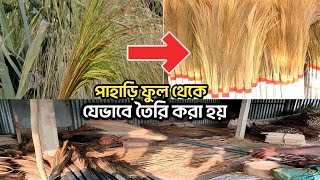 যে গাছের ফুল থেকে তৈরি হয় ঘরের ঝাড়ু। কারখানায় দৈনিক তৈরি হয় হাজারের কাছাকাছি