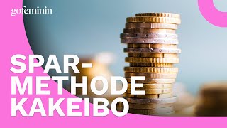 Financial trend Kakeibo: All Japanese swear by this saving method!
