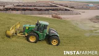 Silage Harvest at Serfas Farms with John Deere 9900 Chopper