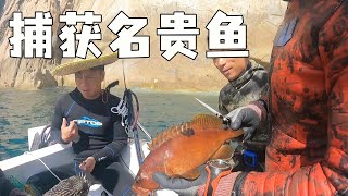 大深藍捕獲金燦燦名貴魚，突發狀況返航偶遇魚群，在船上直接開打【探海漁人】