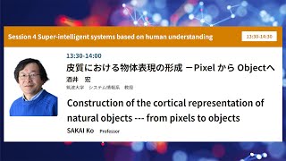 「皮質における物体表現の形成 －Pixel から Objectへ」 酒井 宏