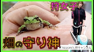 #6【農業女子】カエルは畑の守り神！？農業大好き女子【狩女子】