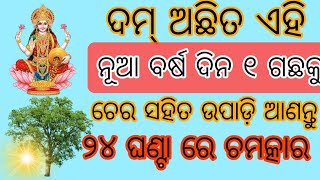 ନୂଆ ବର୍ଷ ଦିନ ଘର କୁ ଆଣନ୍ତୁ ଚେର ସହିତ ଉପାଡ଼ି ଏହି ୧ ଗଛ ଘରେ ହେବ ଧନ ର ବର୍ଷା 🙏@odia vlogger sumitra 💕