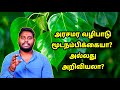 அரசமர வழிபாடு மூடநம்பிக்கையா? அல்லது அறிவியலா? தெளிவான விளக்கம்|Tamil Channel