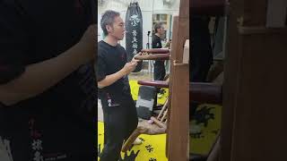 HKSCSA : 詠春木人樁 (陳師範親教) Wing Chun Wooden Dummy Hong Kong (Grand Master Terry Chan)