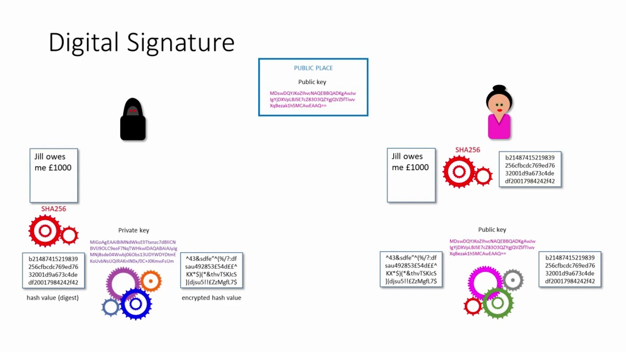 Digital Signatures And Digital Certificates - YouTube