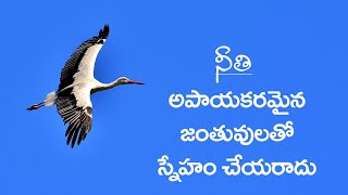 అలనాటి చందమామ కథలు  -అనగా అనగా .. నక్క - కొంగ  .. బాలల కోసం -