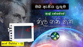 ඔබ ඇසිය යුතුම - නිල් තනි තිත - Pale Blue Dot by Carl Sagan in Sinhala -Bio Api- අපේ විශ්වය -Universe