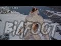 Bigfoot Sightings: Truth Behind the Giant Footprints | Wander Seek