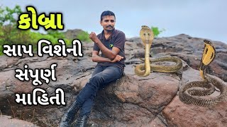 કોબ્રા સાપ વિશેની સંપૂર્ણ માહિતી #trending #snake #viral #snakevideos #amazingfacts