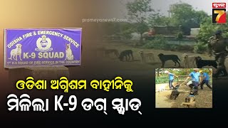 ଓଡ଼ିଶା ଅଗ୍ନିଶମ ବାହୀନିରେ ସାମିଲ ହେବ k-9 ଡଗ୍ ସ୍କ୍ବାର୍ଡ ,ଭୂମିକମ୍ପ ବେଳେ ଫଶିଥିବା ଲୋକଙ୍କୁ କରିପାରିବ ଠାବ