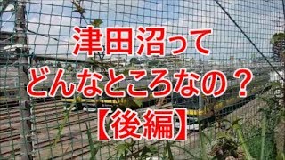 よくある行先「津田沼」ってどんなところなのかレポートします！【後編】