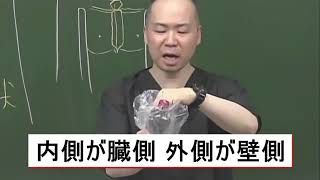 Dr.瘧師のCBT解剖生理講座【１分ダイジェスト】