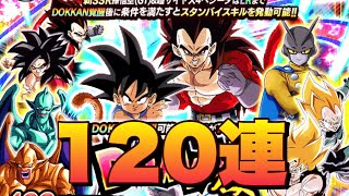 GTコンビ求めてこっちも100連で止まれず120連ガチャ【ドッカンバトル】【8周年】