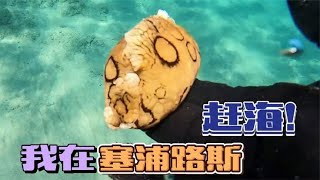 《环球探岛记》北塞浦路斯~第2天：在地中海赶海除了螃蟹还是螃蟹