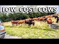 HOW TO RAISE BEEF WITHOUT GOING BROKE | Polyface Farm Tour 2022 Joel Salatin