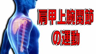 肩関節屈曲時の肩甲上腕関節の動きについて解説します！【機能解剖学×理学療法士】