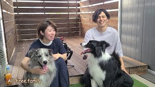 【まろ家とコラボ】個性は犬それぞれ…【ボーダーコリー】