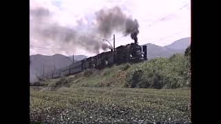 1989年7月23日 大井川鉄道三重連