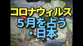 タロット占い　ーコロナウィルス/５月を占う・日本ー