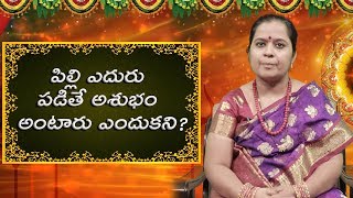 పిల్లి ఎదురు పడితే అశుభం అంటారు ఎందుకని | Asubham | pilli | VegaDevotional