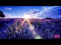 best morning meditation guided meditation and affirmations