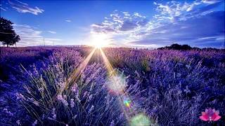 Best  Morning Meditation   Guided Meditation and Affirmations
