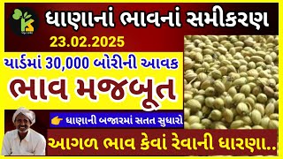 ધાણાનાં ભાવનાં સમીકરણ | ધાણાનાં ભાવ કેવાં રહેશે?