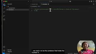 Week 1- Lesson 2: JavaScript Variables and Comments