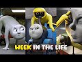 Week in the life - Bone Thief and Thomas Train