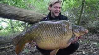 Giant Common Carp - SBS Germany - Michael Nürenberg