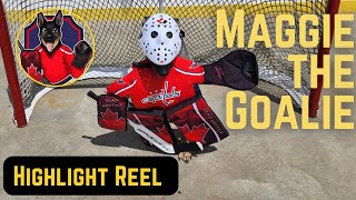 Highlights from Maggie the Goalie - The Hockey Dog