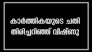 കാർത്തികയുടെ പദ്ധതി പാളി, സത്യങ്ങള്‍ തിരിച്ചറിഞ്ഞ് കാർത്തികയുടെ കരണം പുകച്ച് വിഷ്ണു