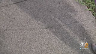 Staten Island Neighborhood Accuses City Inspectors Of Double Standards