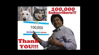 100,000 Subscribers | Sheru \u0026 Bruno Saying BIG THANK YOU!!!