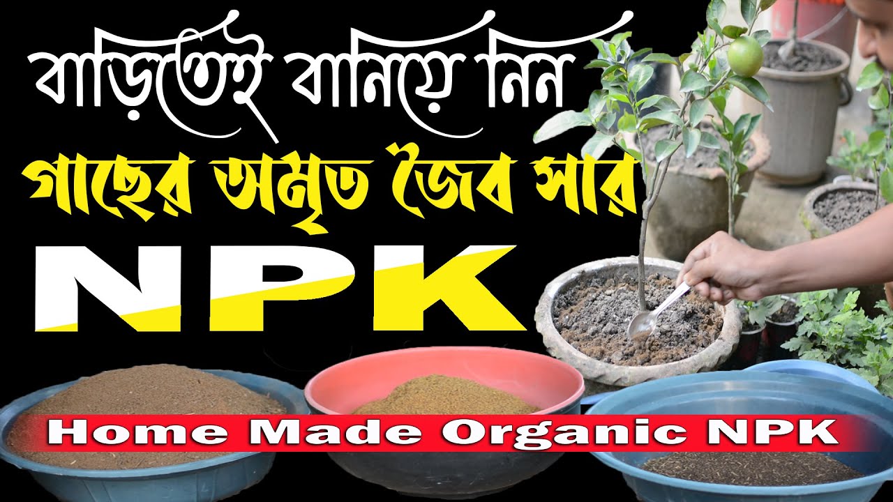 বাড়িতে NPK জৈব সার নিজেই বানিয়ে নিন ! NPK ! How To Make Organic NPK ...