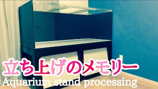 大型水槽立ち上げ準備！〜立ち上げのメモリー〜