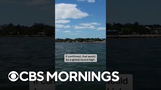 Florida Water Temperatures Hit Possible Global Record Shorts