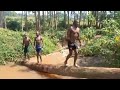 heavy rains fall trees into our village swimming pool