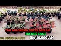 AGLONEMA SUPER MURAH HADIR LAGI Rp. 10.000 AN