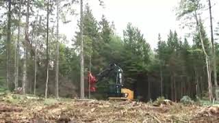 CAT 521 Track Feller Buncher with an HF201