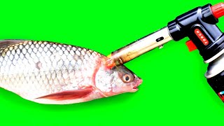 Fish VS Gas torch | Cooking Fish