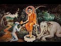 The Wild Elephant - Buddha Story  : Spritual World