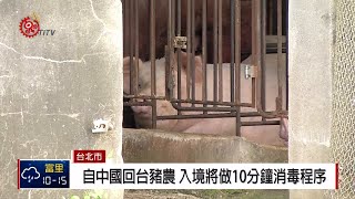 外國籍旅客違規攜帶肉品 將禁止入境 2018-12-28 IPCF-TITV 原文會 原視新聞