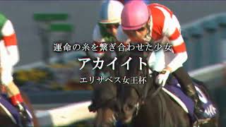 【競馬MAD】2021年競馬集(宝塚記念PV風)