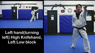 7TH Dan basic movement patterns