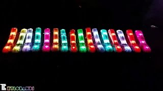 XyloBands Full Color RGB live controlled light-up wristbands