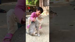 Cat lover Srabon | শ্রাবণের বিড়াল প্রীতি | #chuadanga