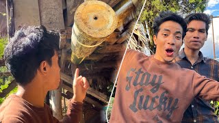 Rearing Stingless Bees in Arunachal Pradesh |Visiting My Brother.