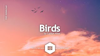 Free Background Music No Copyright Instrumental [Birds - Corbyn Kites] Vlog Music For Video Editing